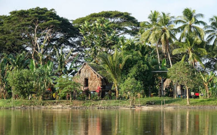 Sepik River, East & West Sepik Provinces, Papua New Guinea